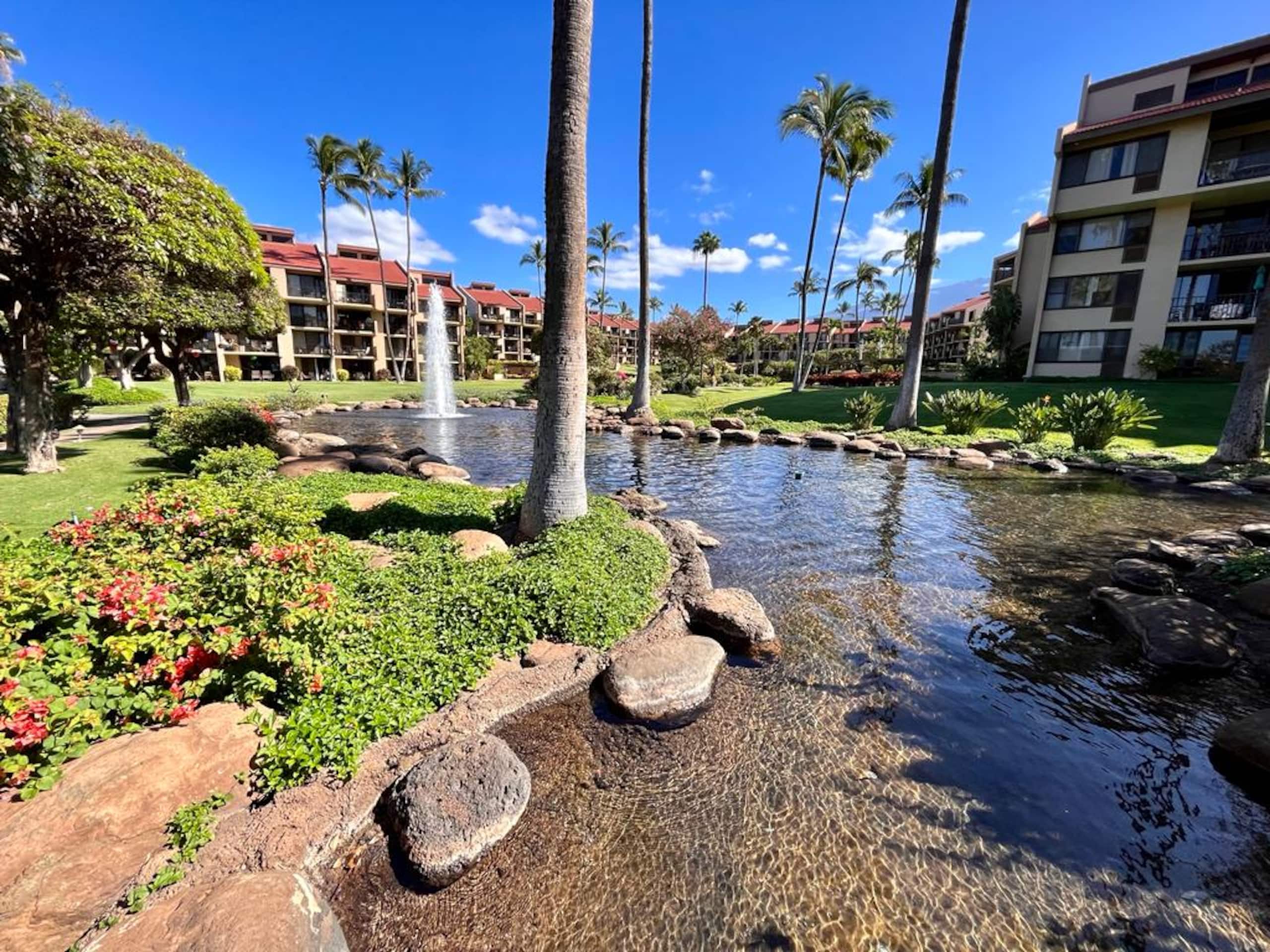 Condo in Kihei · ★5.0 · 1 bedroom · 2 beds · 2 baths - Image 36