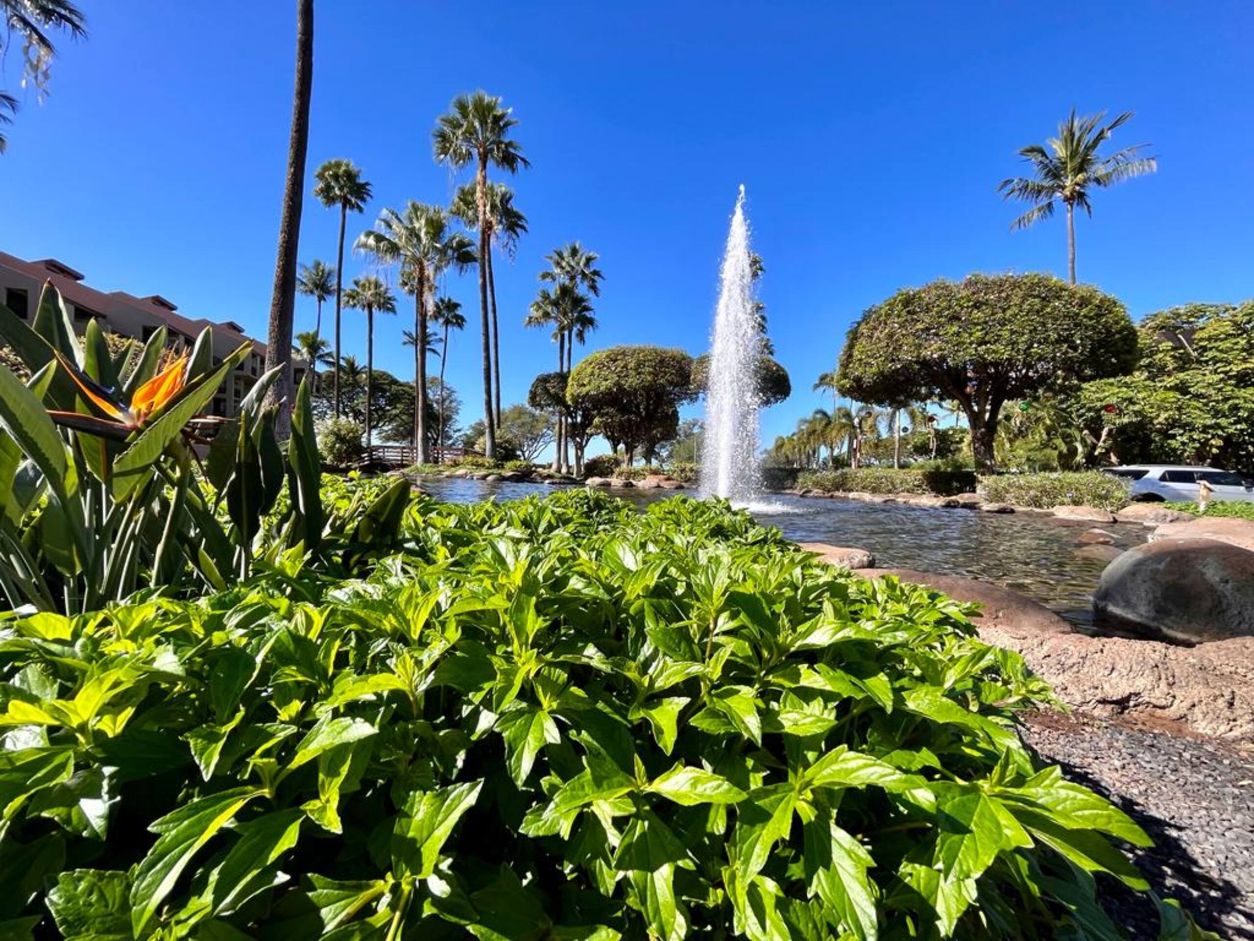 Condo in Kihei · ★5.0 · 1 bedroom · 2 beds · 2 baths - Image 39