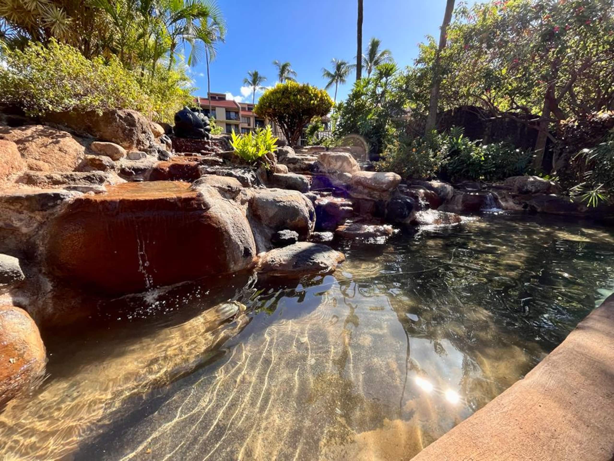 Condo in Kihei · ★5.0 · 1 bedroom · 2 beds · 2 baths - Image 34