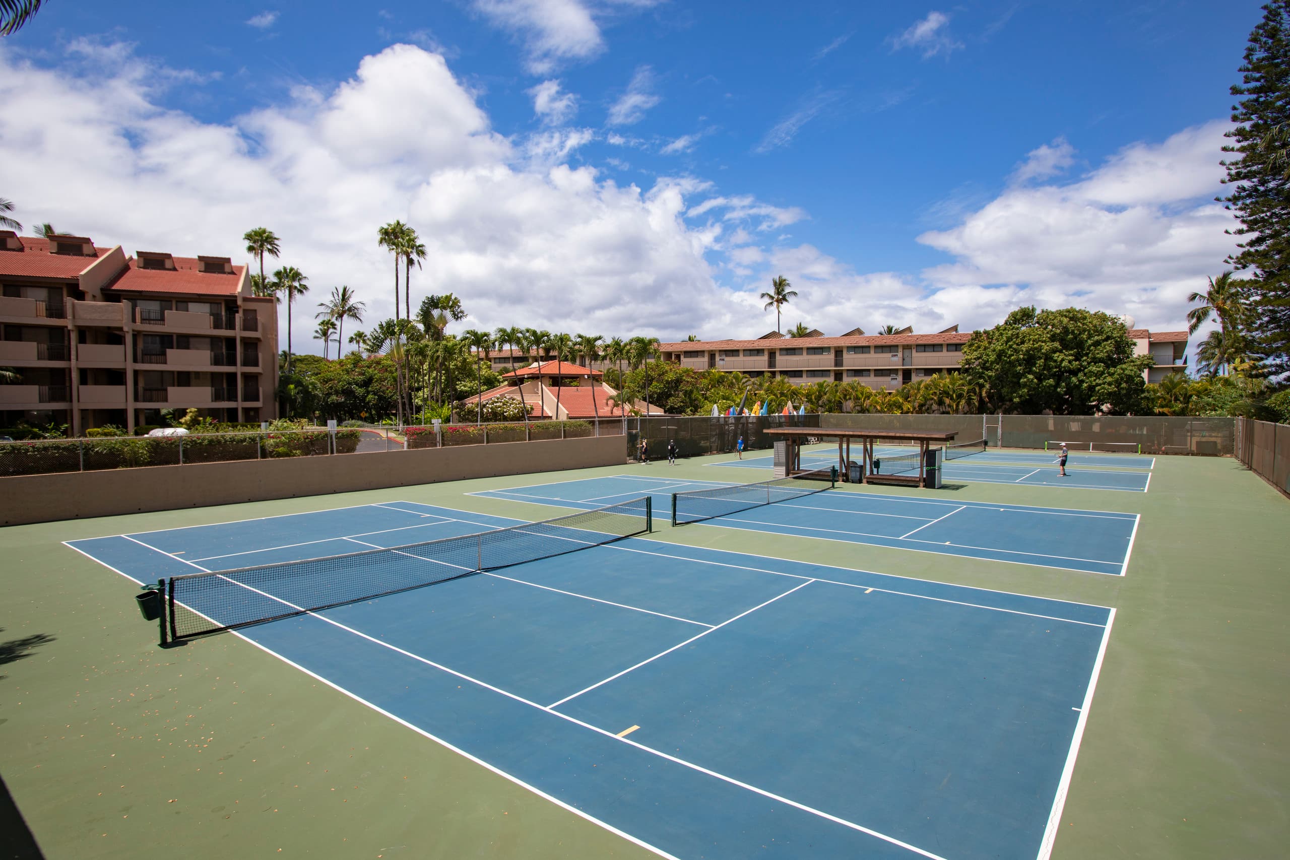 Condo in Kihei · ★5.0 · 1 bedroom · 2 beds · 2 baths - Image 43