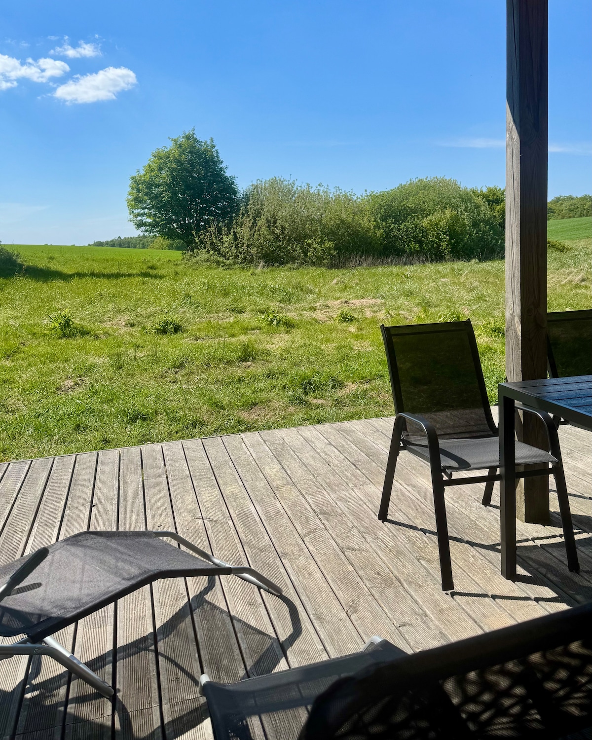 A wooden deck is visible, equipped with a glass-top table and several chairs. A lush green field and a cluster of trees can be seen in the background under a clear blue sky, providing a serene outdoor setting.