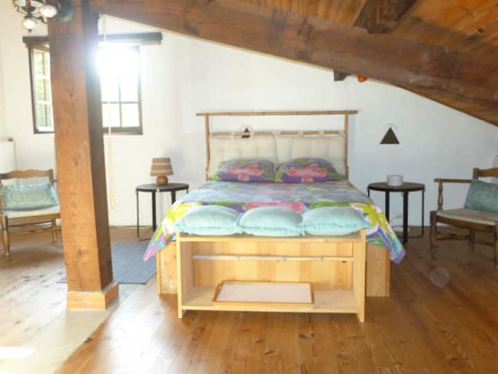 Habitación 1