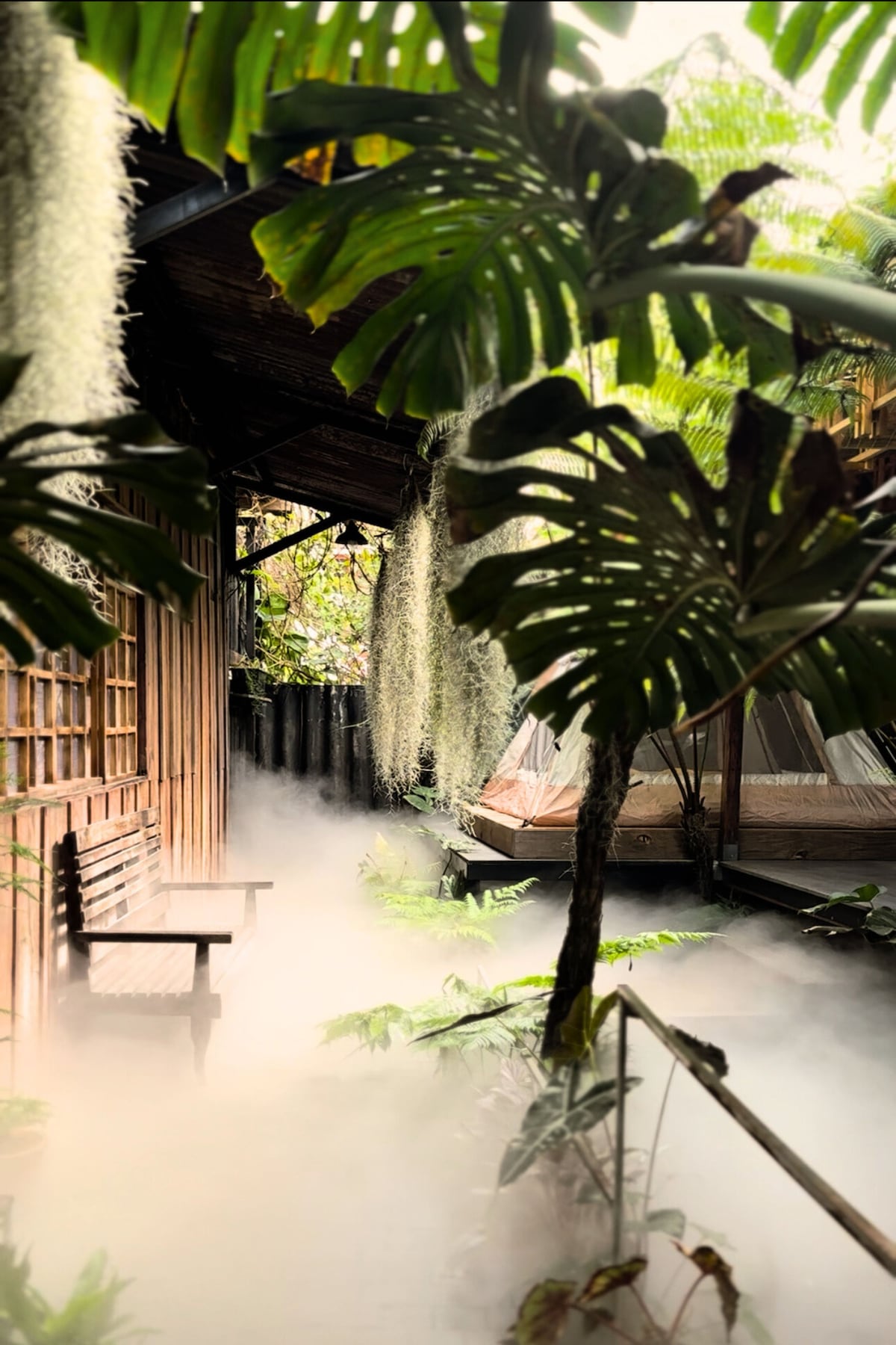 A serene pathway is framed by lush green foliage and hanging moss. A wooden bench is positioned alongside, providing a quiet resting spot. Soft mist envelops the ground, enhancing the tranquil atmosphere of the outdoor space, leading towards a tent area in the background.