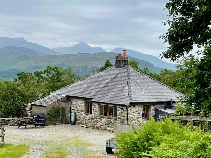 Mountain Magic - Beddgelert