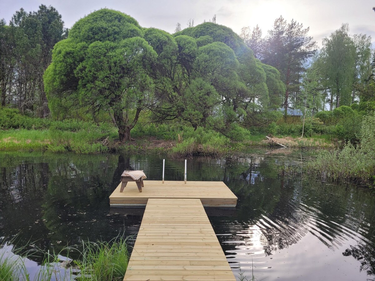 A wooden dock extends into a serene pond, surrounded by lush greenery and trees. The dock features a small bench, offering a place to sit and enjoy the peaceful natural setting. The water reflects the surrounding foliage and a soft sky.