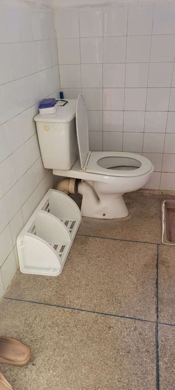 A clean bathroom setting features a standard toilet with a lid positioned upright. A white toilet tank sits on top, while a toilet paper holder is mounted nearby. The floor showcases tiled surfaces, and a small mat lies adjacent to the toilet.