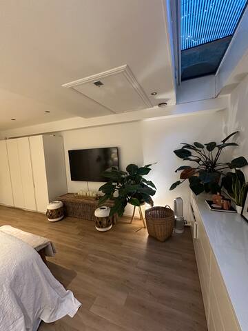 Amazing house with garden in De Pijp gallery image 5