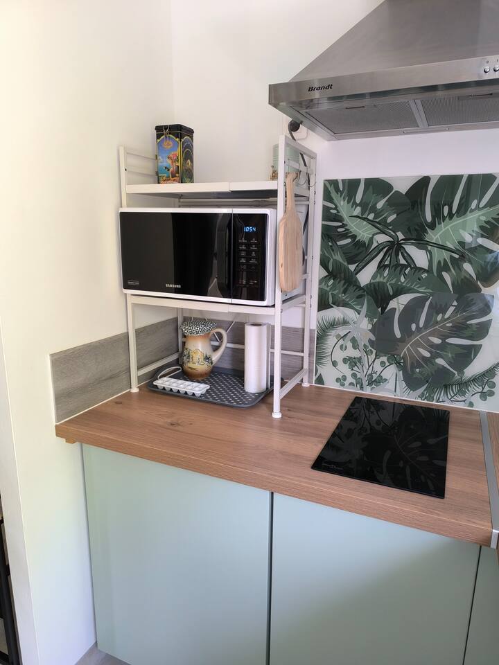 Charmant Appartement Indépendant - Sanguinet