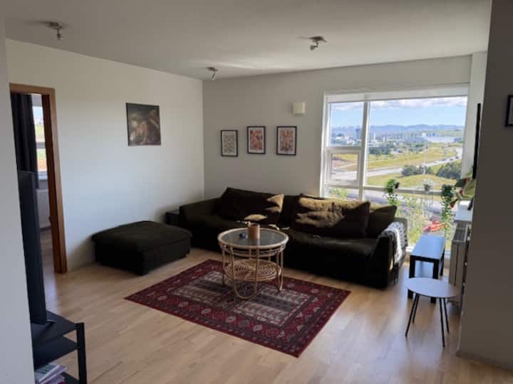 Bright Flat, View, Free Parking - Iceland