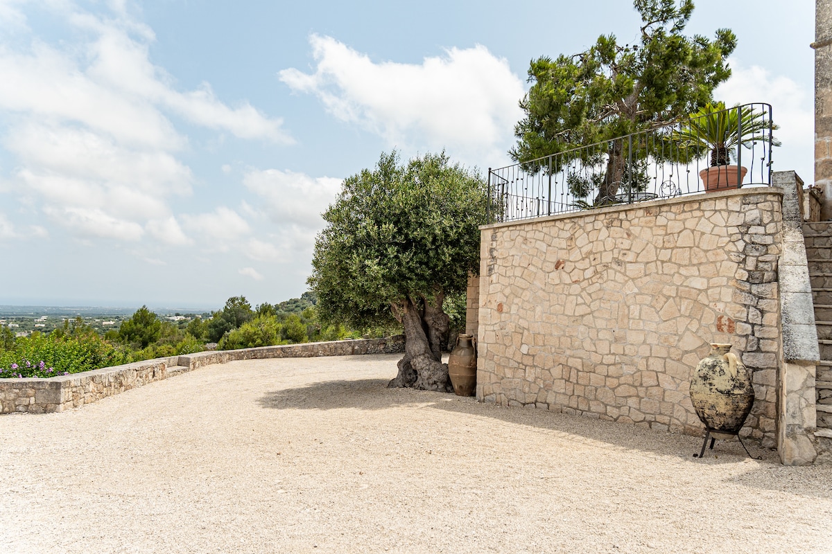 Rocca Giulia - Mini Andrea — 20