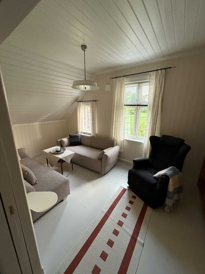 Sovesofaer + en 90x200cm rammemadrass
