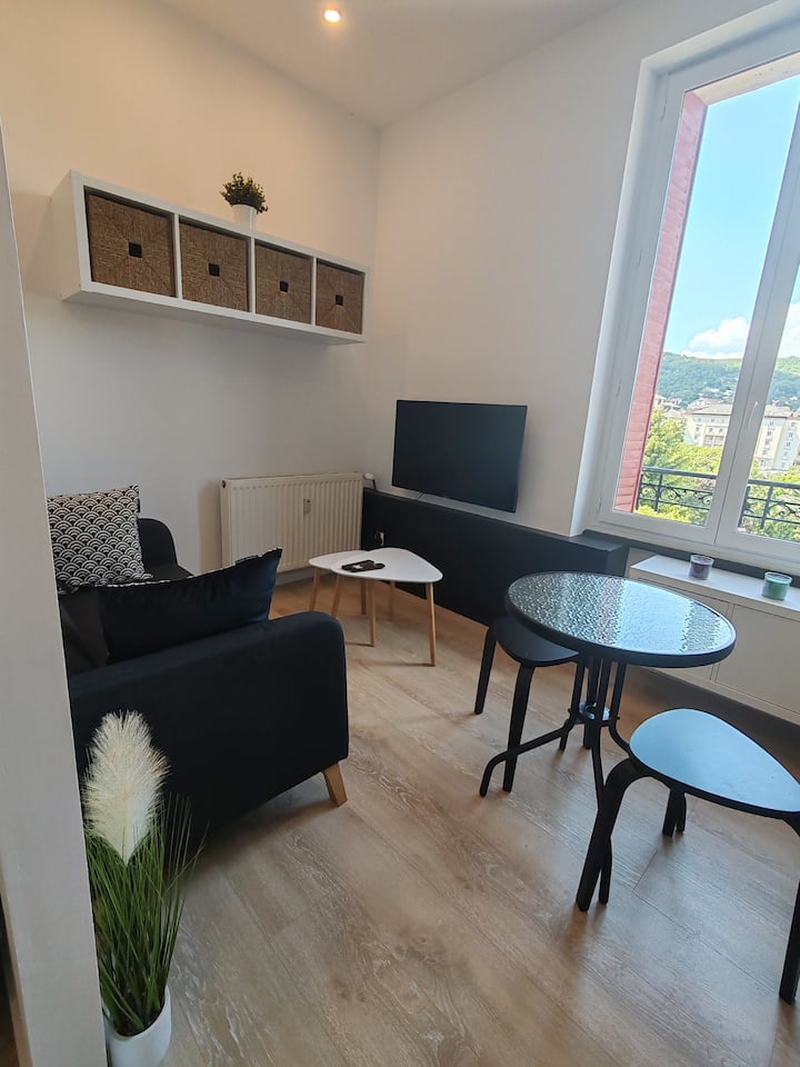 Superbe Studio Rénové - Puy-de-Dôme