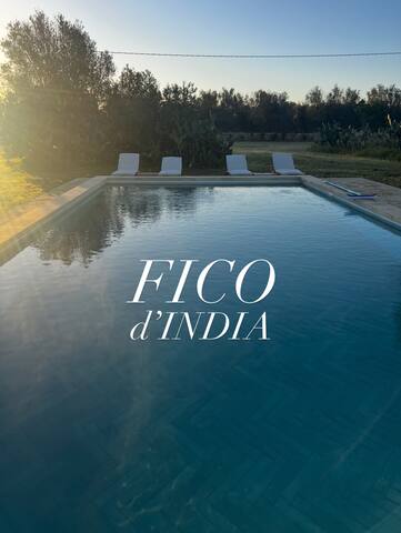 Fico d’India – Escape to Puglia gallery image 2