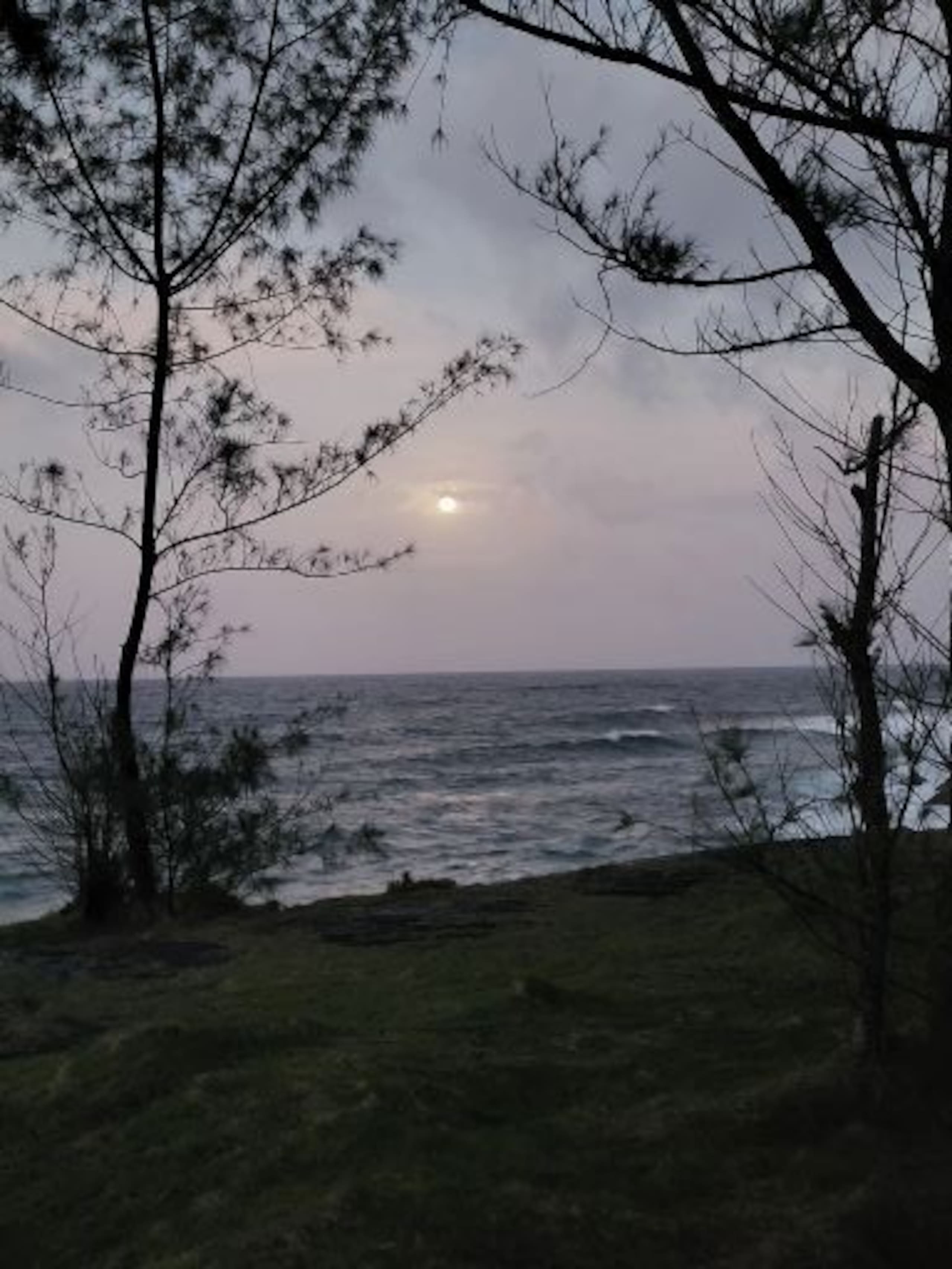 Cabin in Keaau · ★5.0 · 1 bedroom · 1 bed · 1 private bath - Image 23