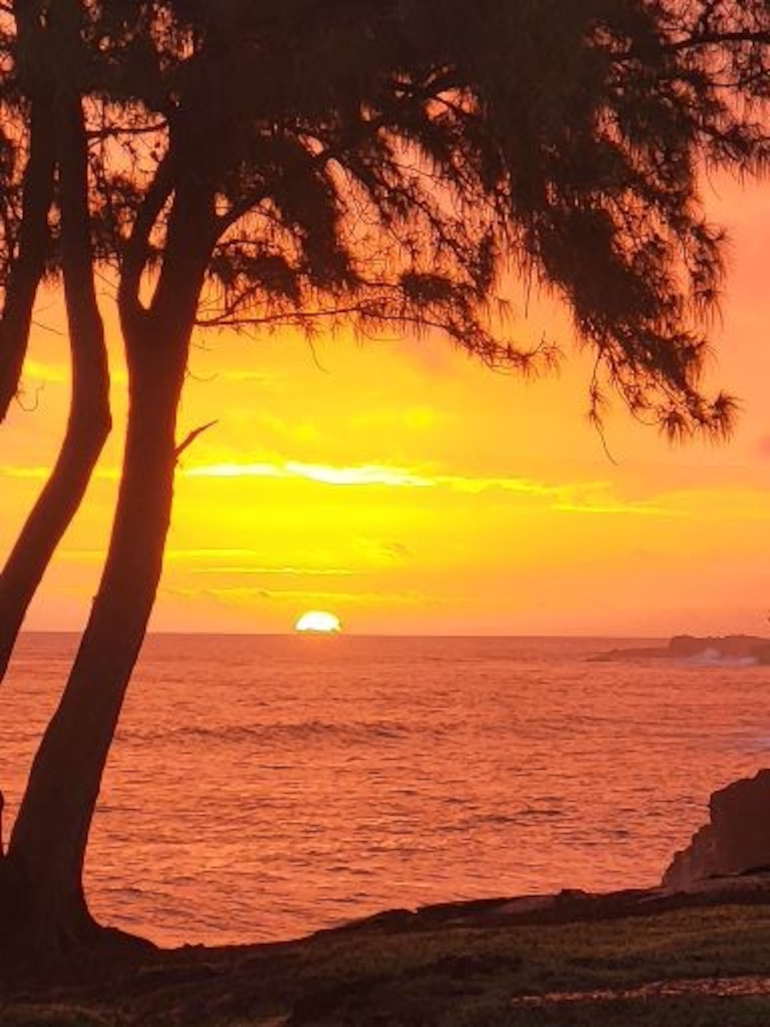 Cabin in Keaau · ★5.0 · 1 bedroom · 1 bed · 1 private bath - Image 19