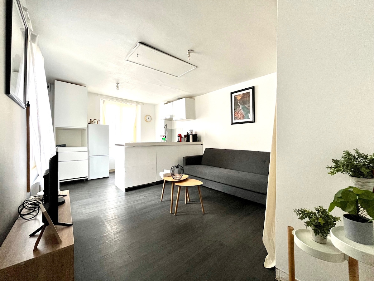 The studio features a spacious living area with a gray couch and a light wooden coffee table. A kitchenette with modern appliances is visible in the background. Natural light is filtered through sheer curtains, creating a bright atmosphere. A small decorative plant adds a touch of greenery.