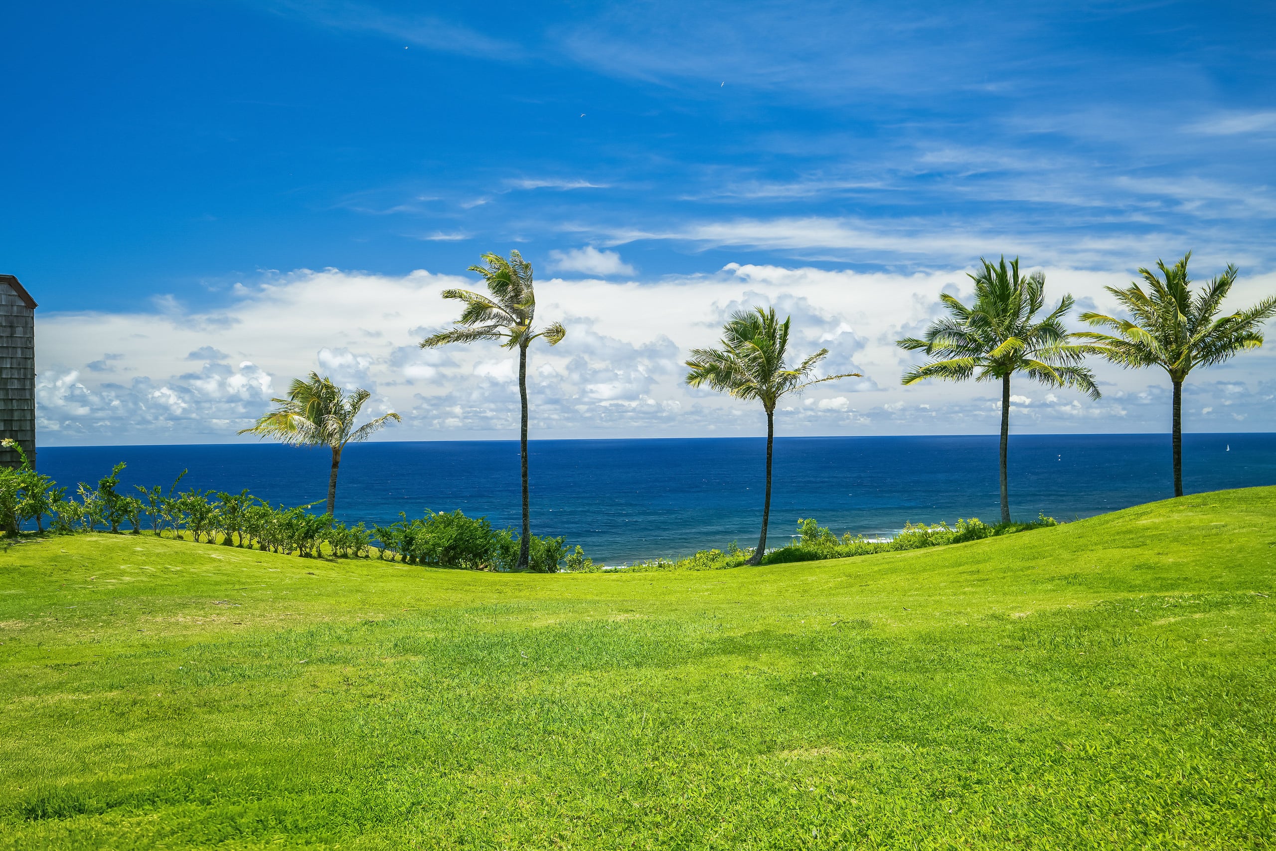 Condo in Princeville · ★4.95 · 1 bedroom · 2 beds · 1 bath - Image 21