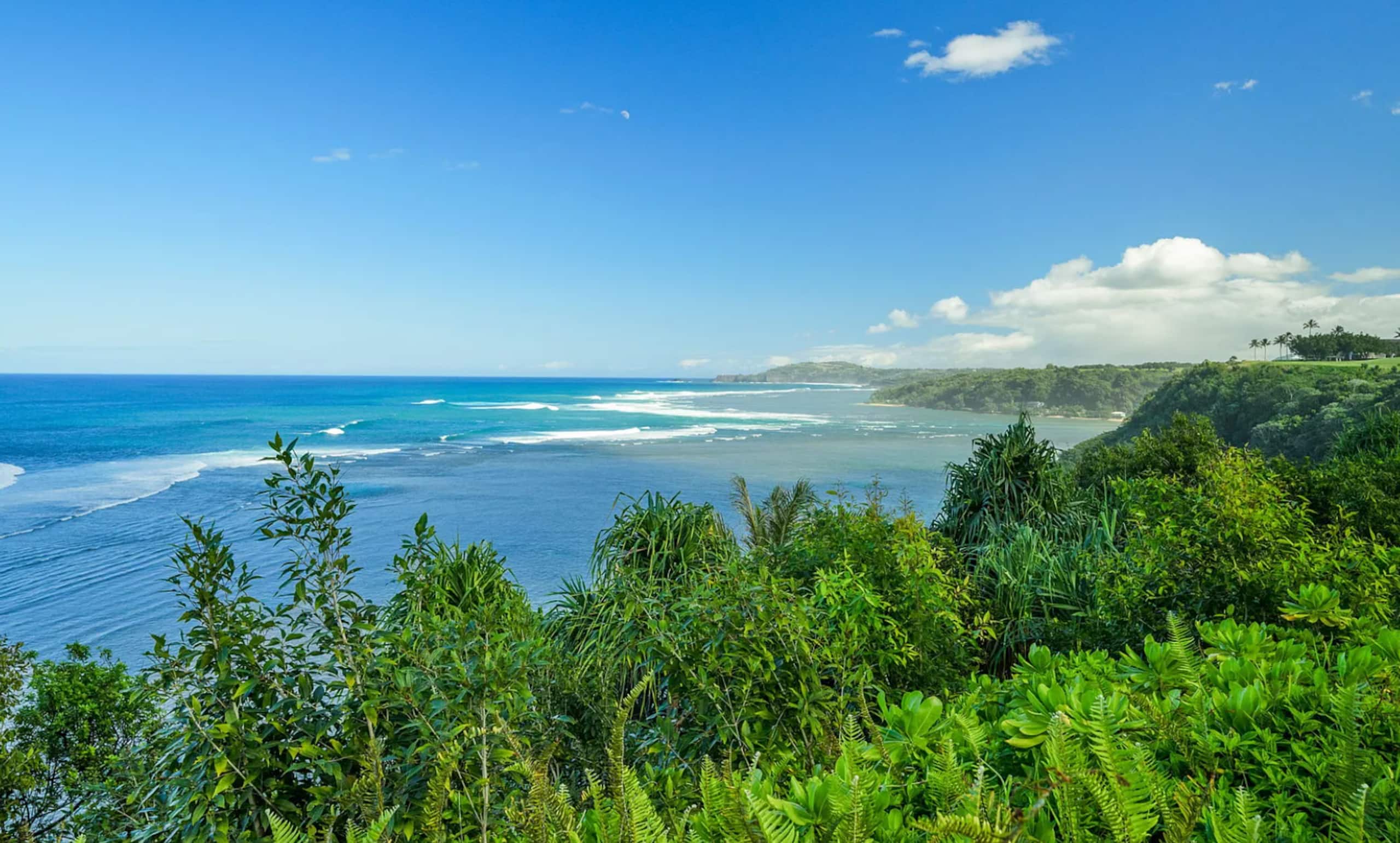 Condo in Princeville · ★4.95 · 1 bedroom · 2 beds · 1 bath - Image 32