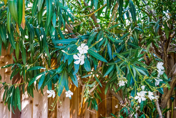 Modern Italian Villa Inspired Home- Library Lounge gallery image 4