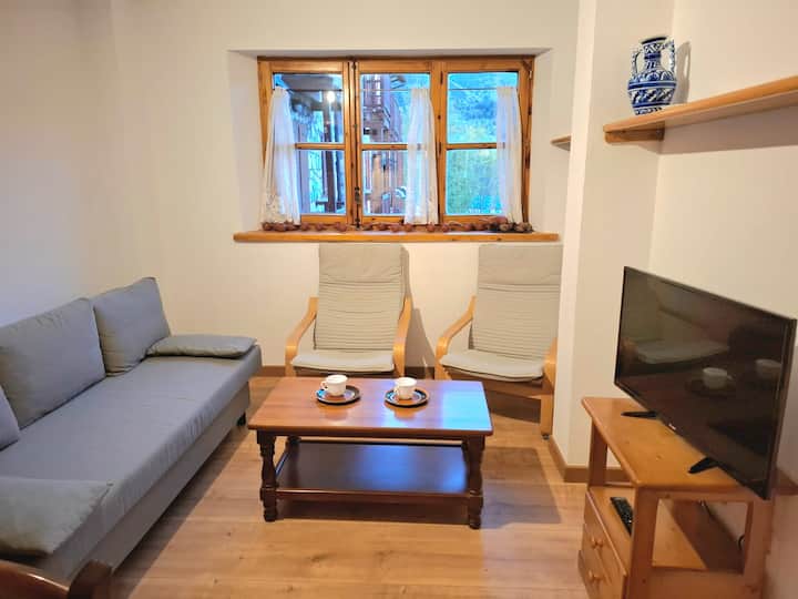 Isard Apartament - El Pont de Suert