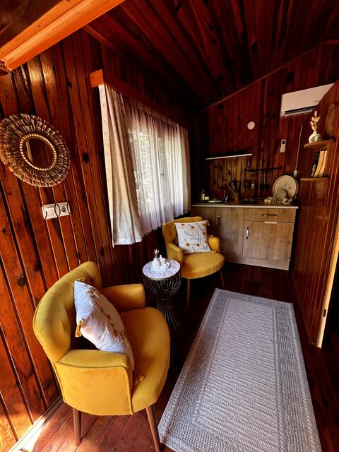 Successful Airbnb property: Çıralı Trouvaille house 2/25min walking to the sea in Kemer