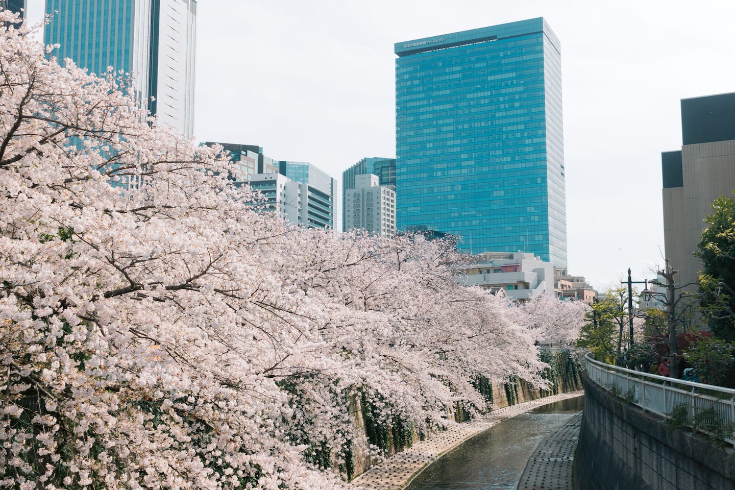 STR Regulatory Tightening Across Tokyo’s 23 Wards: Changes from April 2022 to April 2026