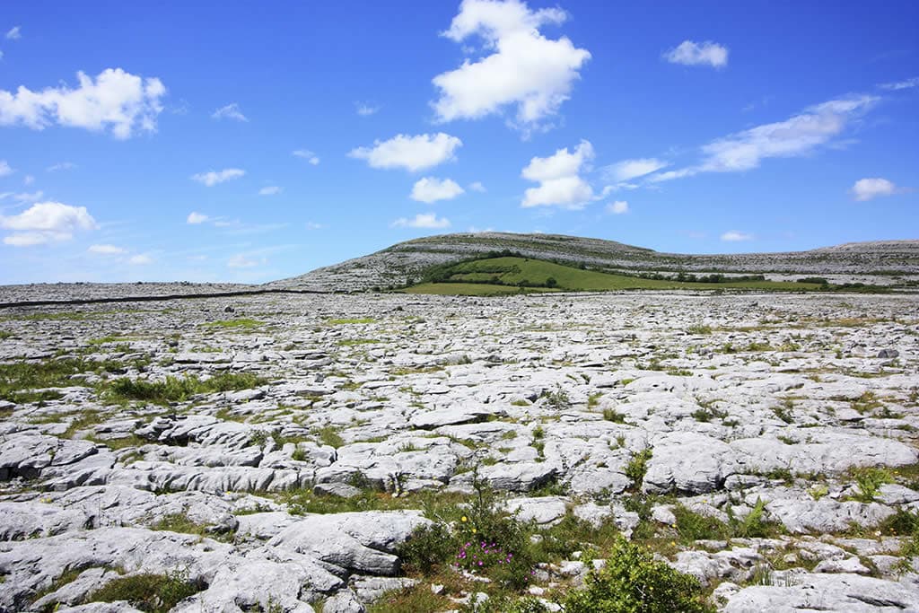 Mass-rock in Annagh (tulla Upper By., Coolreagh Ed)