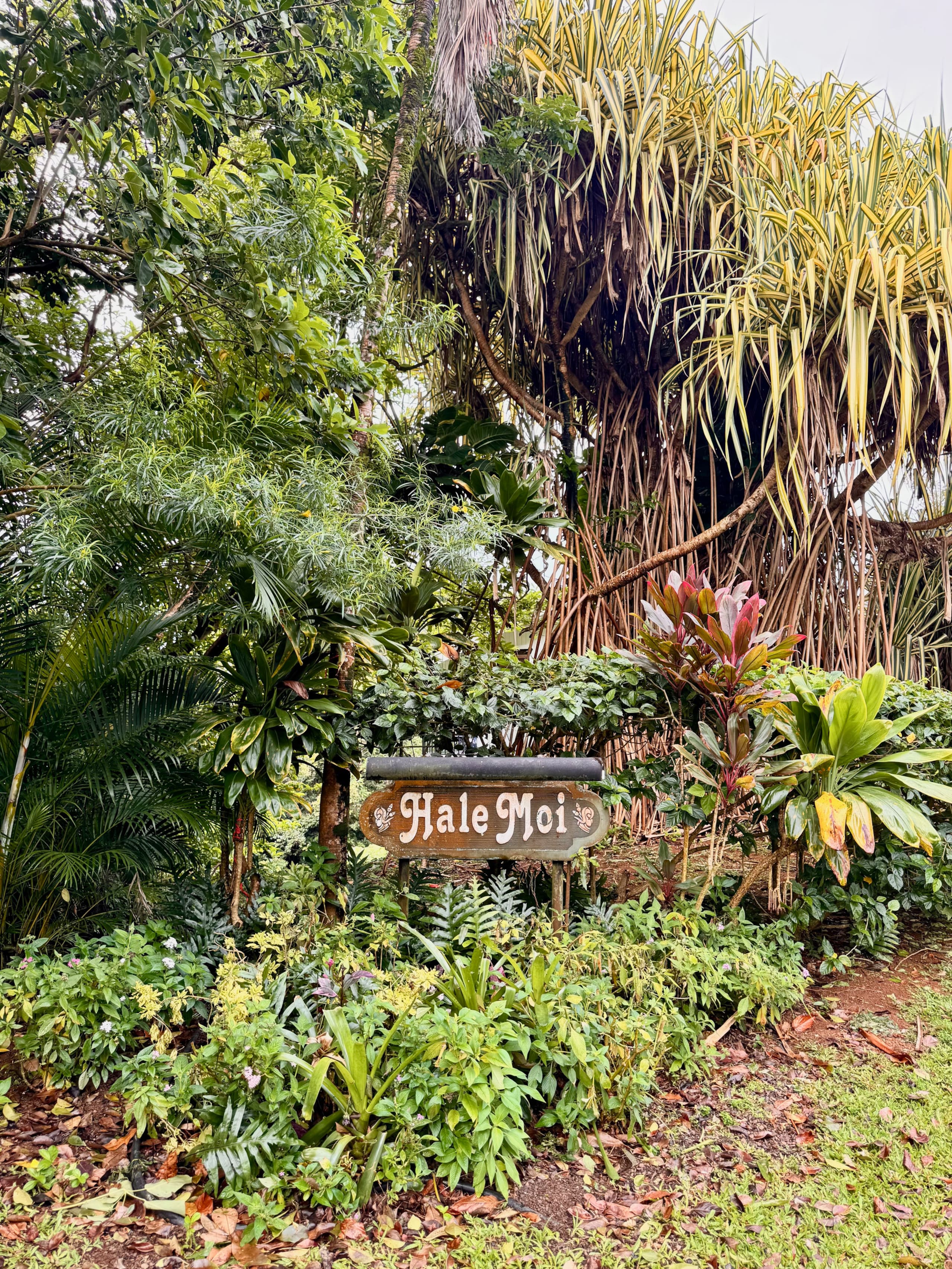 Boho Perfect Honeymoon Spot, AC + Kitchenette - Photo 23