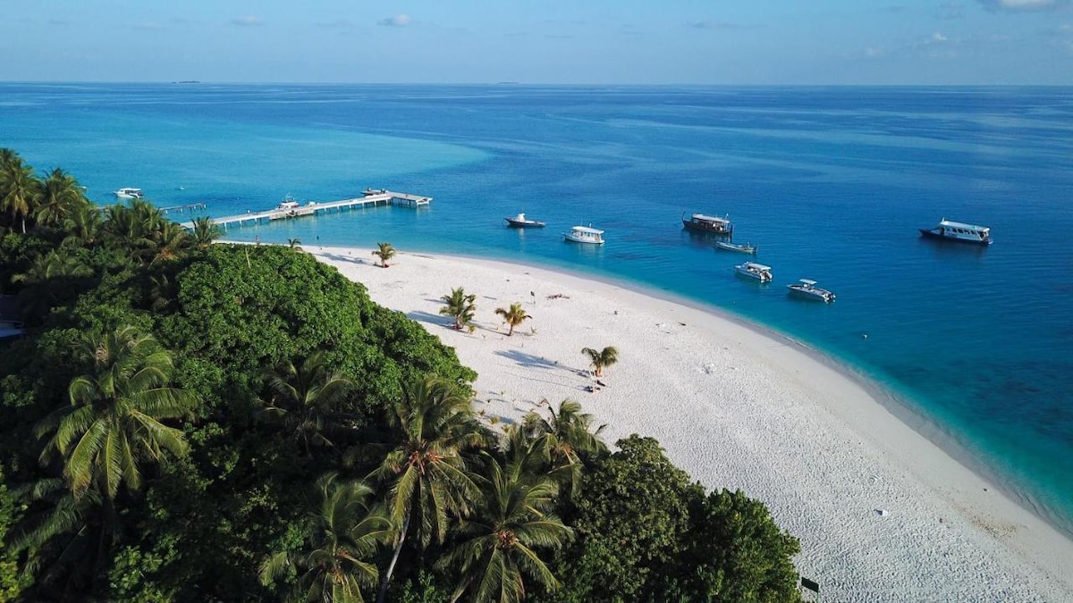An aerial view of a serene beach is presented, featuring soft white sand bordered by lush greenery. Clear blue waters gently lapping at the shore are visible, alongside several boats anchored near the beach. The scene reflects a tranquil coastal environment.