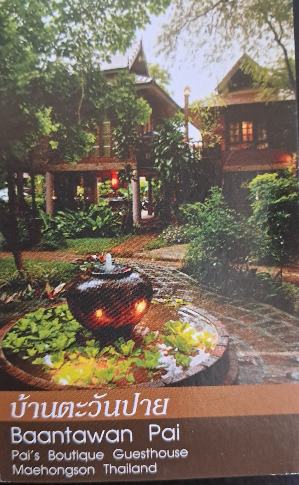 A tranquil courtyard features a water fountain surrounded by lush greenery, creating a peaceful atmosphere. The guesthouse is visible with its charming architecture, highlighted by large windows and wooden accents, blending harmoniously with the natural surroundings.