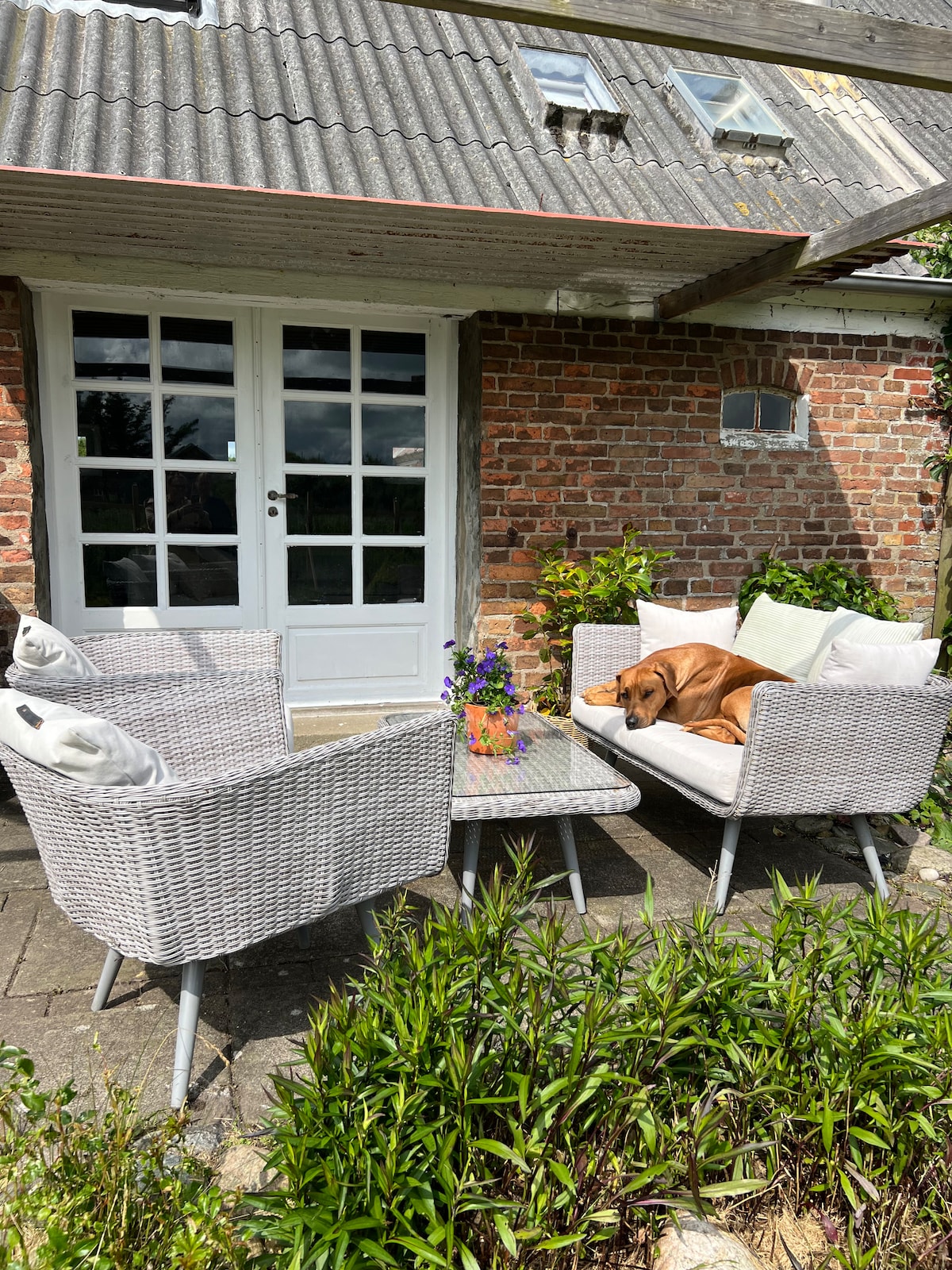 A cozy outdoor seating area features two light-colored wicker chairs with soft cushions and a small glass-top table. A dog rests comfortably on one chair, surrounded by greenery. The entrance is marked by a white door with glass panels, leading into a rustic brick structure.