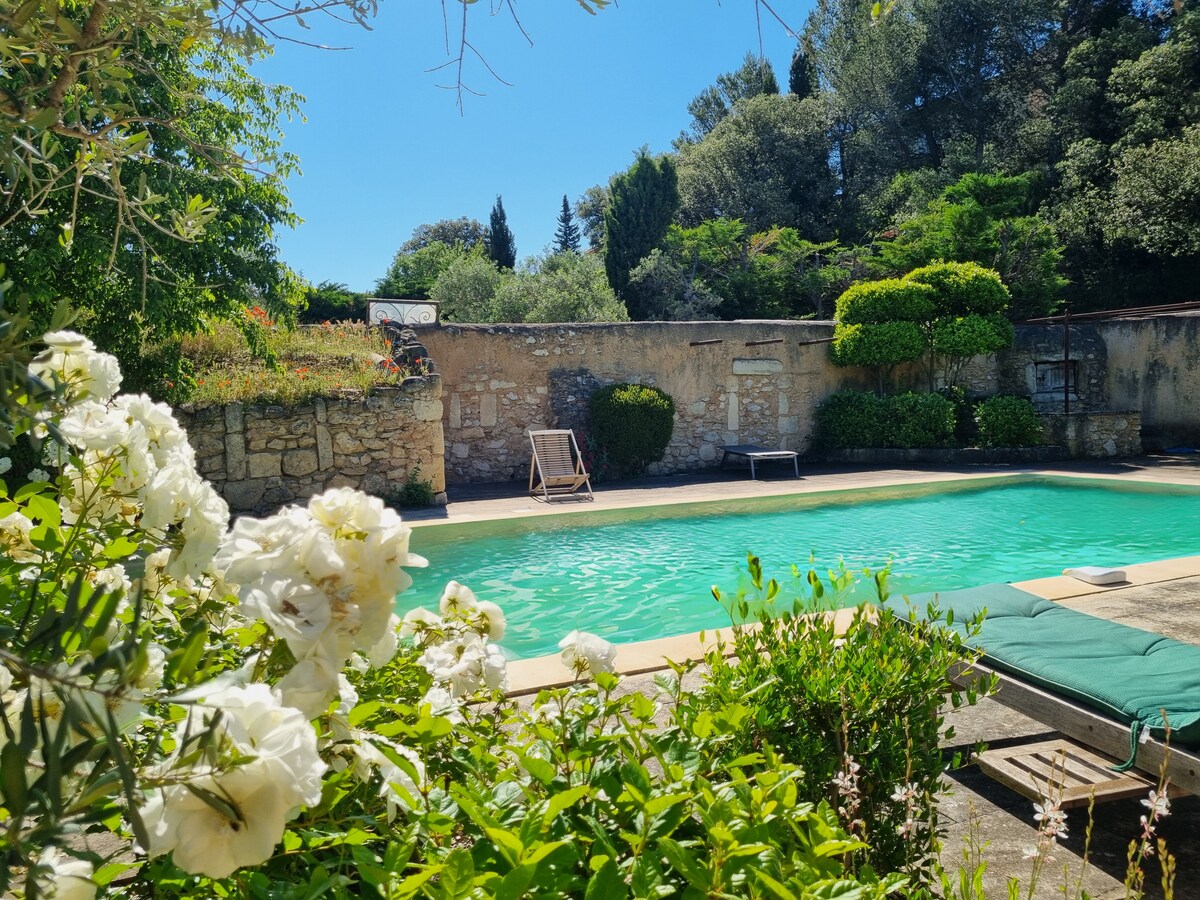 A refreshing salt-water pool is framed by lush greenery and flowering bushes. The pool, measuring 5x12 m, reflects the clear blue sky, with a stone wall enhancing the secluded feel. Lounge chairs are positioned near the water, inviting relaxation.