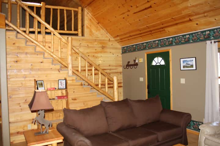 Mountain Majesty Cabin - Westcliffe, CO