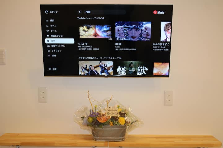 Zidni televizor od 40 inča
- Wi-Fi