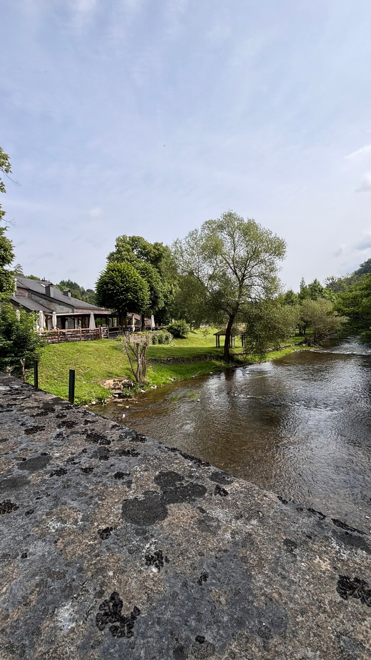 A serene riverside view showcases a grassy area bordered by tall trees. A charming house can be seen in the background, with light filtering through the leaves. The calm water reflects the surrounding greenery, creating a peaceful and relaxing environment.