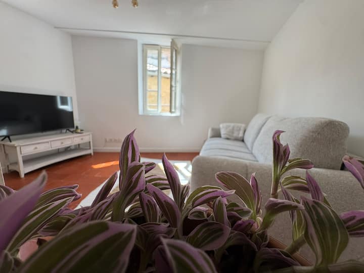Exvoto - Appartement De Charme - Centre Historique - Pézenas
