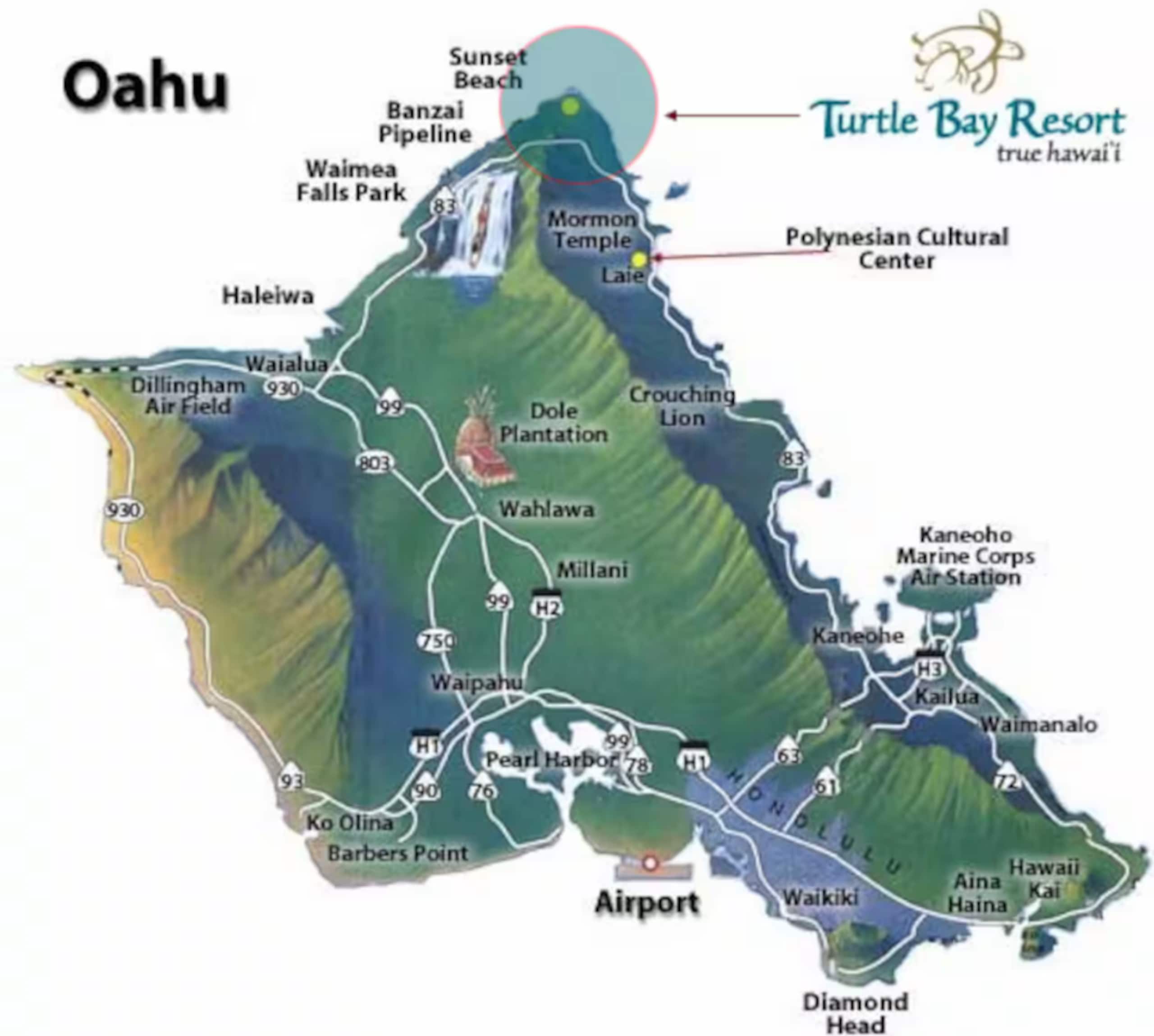 Charming 1 bdrm with loft (sleeps 6) at Turtle Bay - Image 28