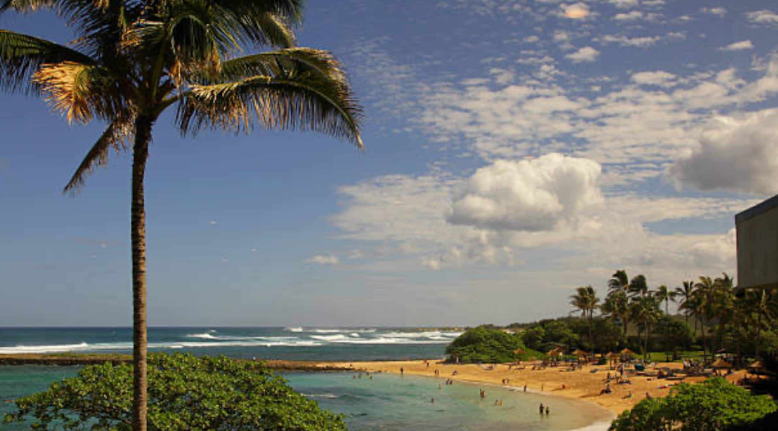 Charming 1 bdrm with loft (sleeps 6) at Turtle Bay - Image 27