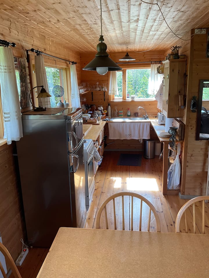 Cozy Cabin Near Kirkjubæjarklaustur - Iceland