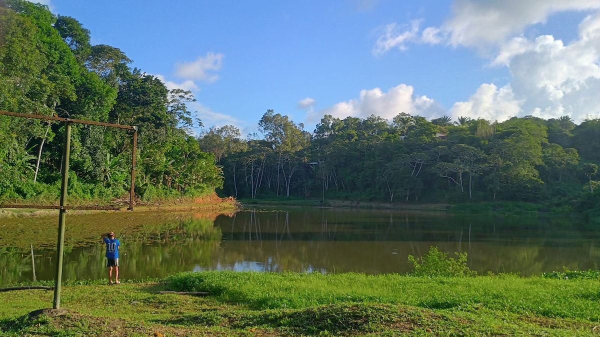 A serene lake is framed by lush greenery and towering trees, reflecting the sky. A person is seen in the distance, standing by the water's edge, surrounded by grass and natural landscape.
