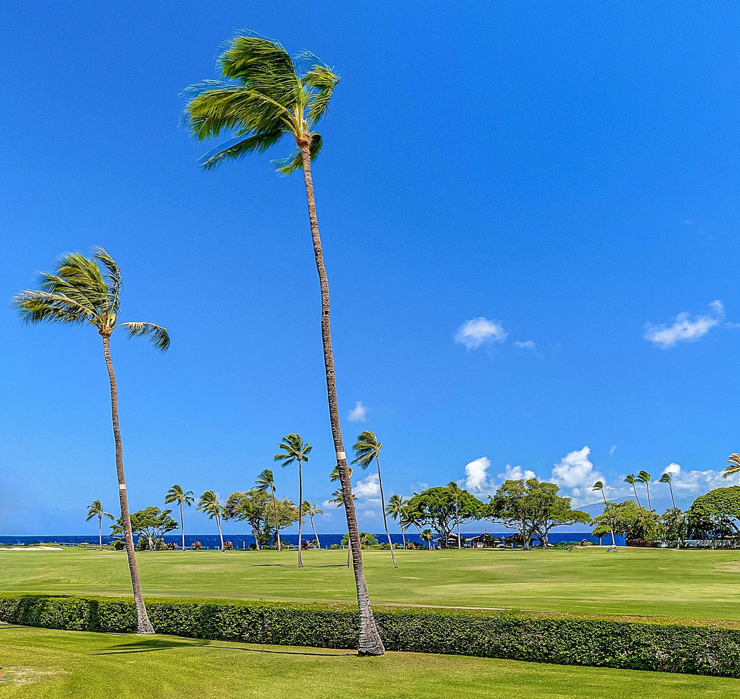 Ocean View Condo with Beachfront Cabana for Guests - Image 1