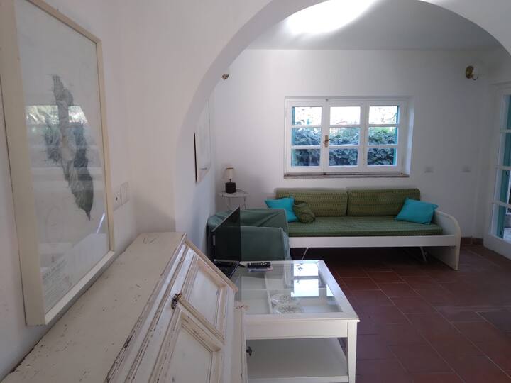 Голем дневен простор со поглед на кујната, внатрешниот трпезариски простор и вратата од прозорецот на покриениот поплочен двор каде што има уште една идеална маса за ручек и вечера