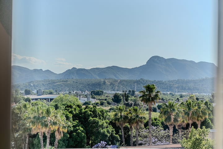 Palmeras y montaña: el paisaje de la Safor.