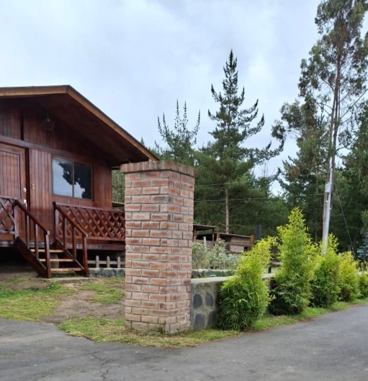 A wooden cabin sits among trees, featuring a covered entrance with a porch and a stone pillar marking the path. Lush greenery and low shrubs frame the cabin, enhancing the natural setting. The exterior showcases a warm wood tone, contributing to the inviting appearance.