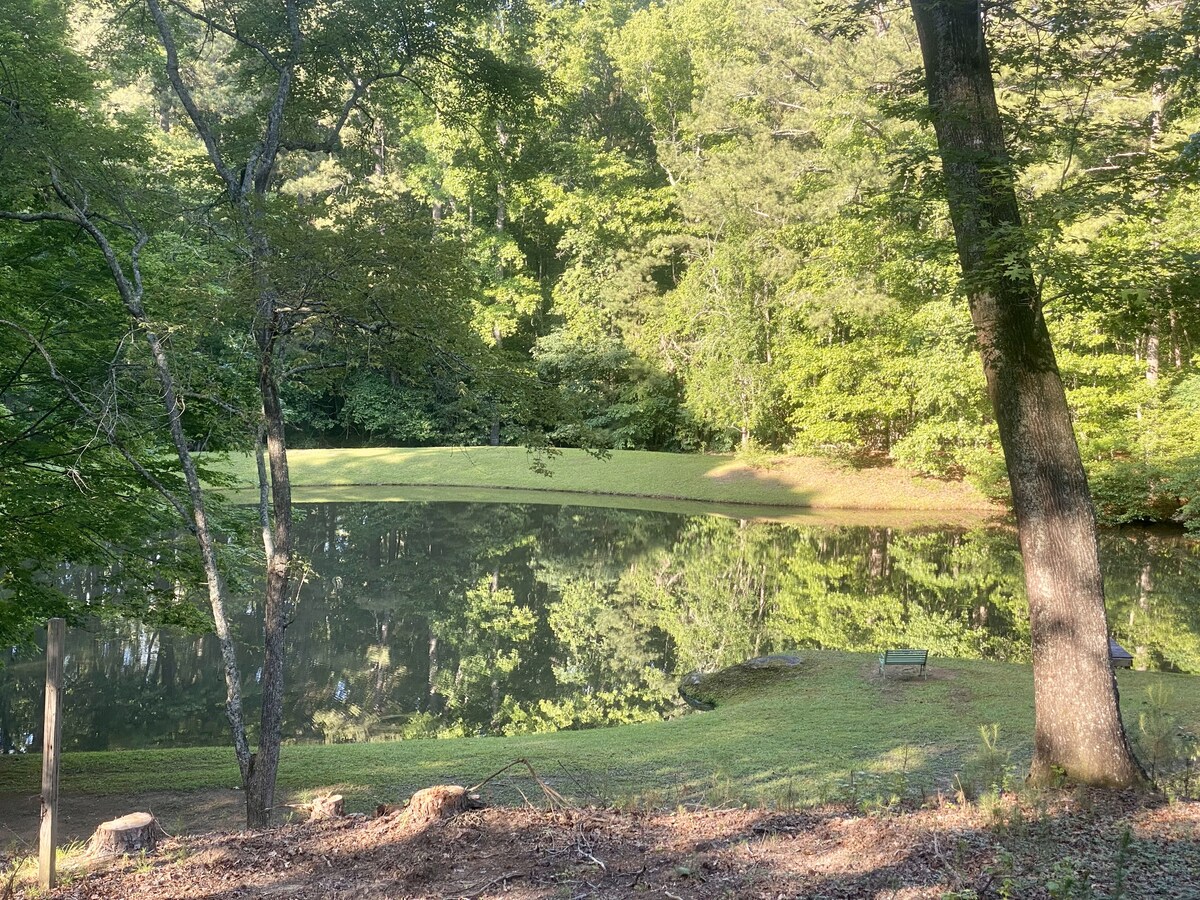 A serene lakeside view is captured, showcasing still water reflecting lush greenery. Trees frame the scene, providing a sense of tranquility. The gentle slope of the grassy bank leads to the water's edge, inviting moments of relaxation and connection with nature.