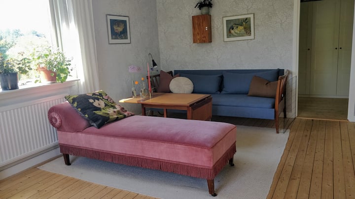 Удобна дневна соба со голем телевизор (не е на сликата). Синиот кауч е кауч на спуштање, а има и стол за кревет (не е на сликата).