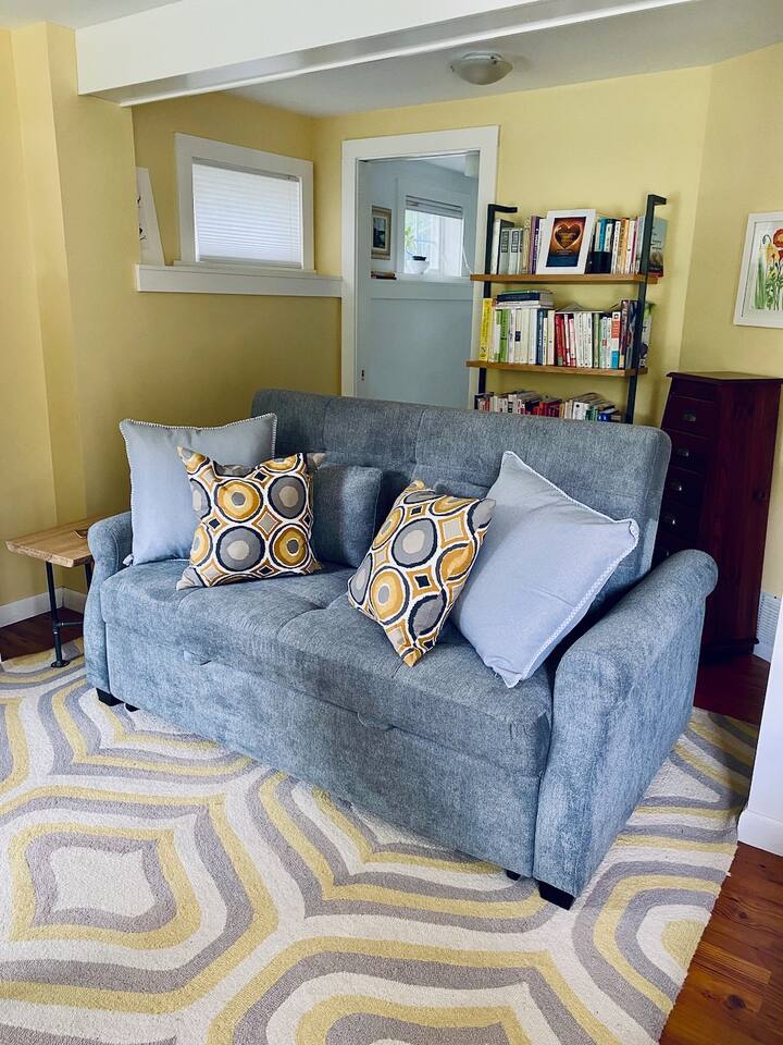 超级舒适的标准双人沙发床