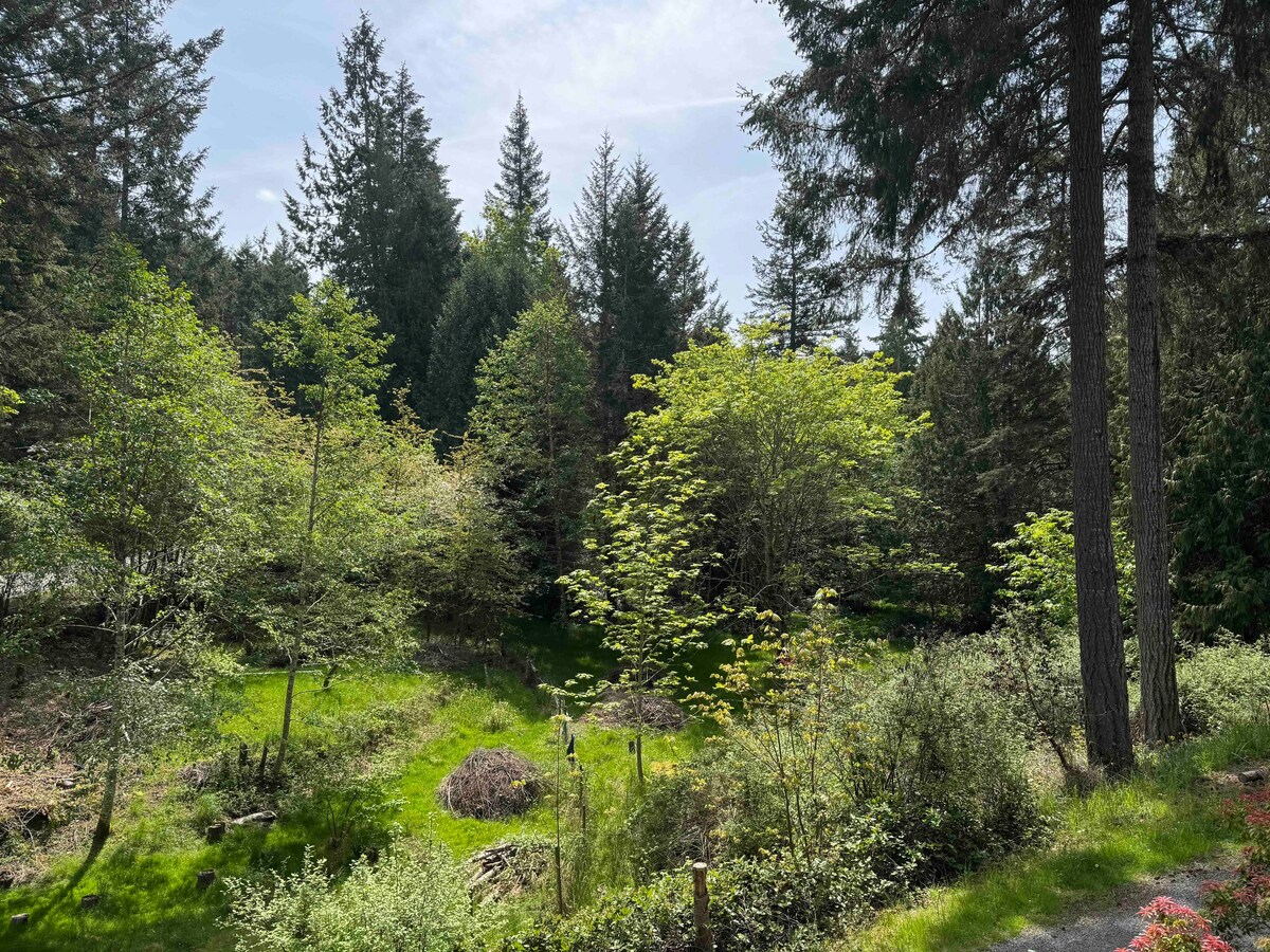 A serene outdoor landscape is presented, featuring lush greenery and diverse trees. Sunlight filters through the leaves, casting soft shadows across the ground. Piles of brush are visible, blending naturally with the surrounding plants, contributing to the peaceful ambiance of the property.