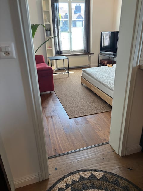 Successful Airbnb property: Cosy 2.5 room apartment in Zürich