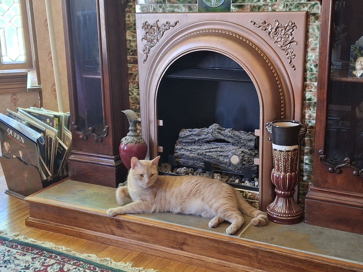 The Tabby Room at The Painted Cat Bed & Breakfast - Bed and breakfasts for  Rent in Galena, Illinois, United States - Airbnb